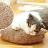 Cat Toy Pillow Shaped Funny Funny Stick Pet Supplies - Afbeelding 8